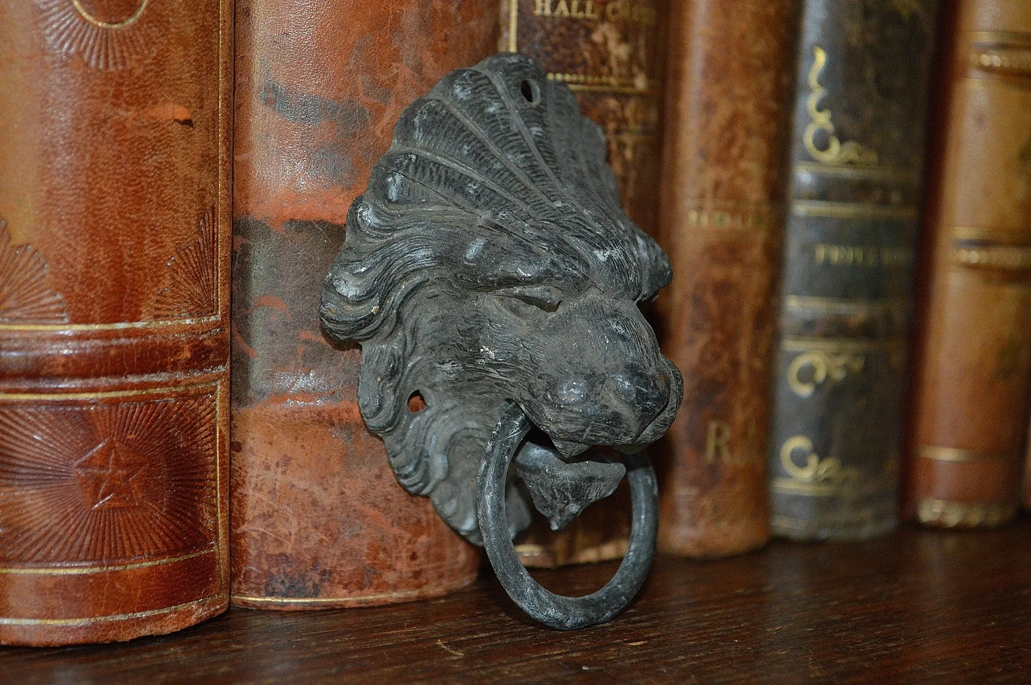 Antique French Lion Head Drawer Pull Furniture Handle