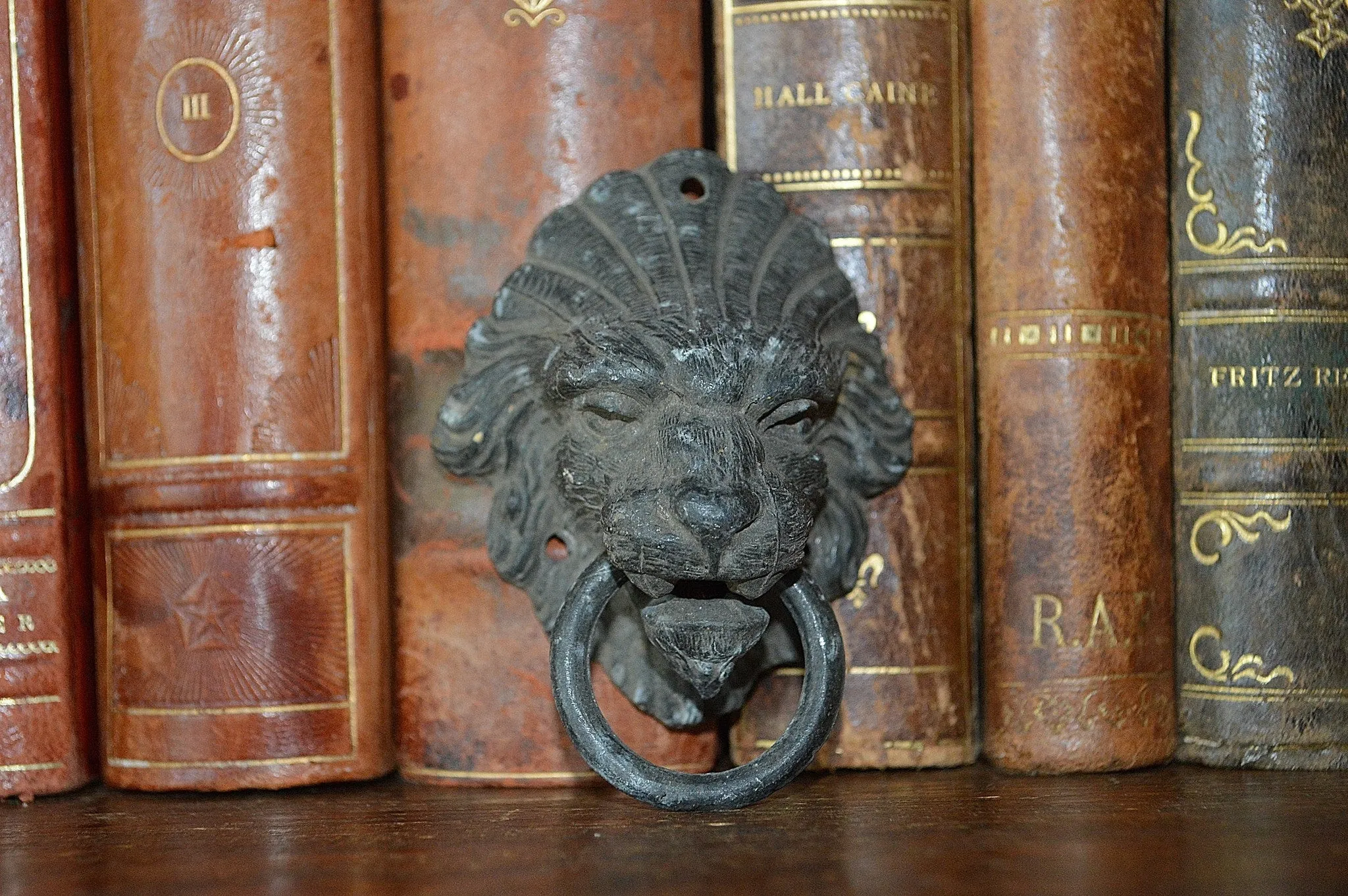 Antique French Lion Head Drawer Pull Furniture Handle