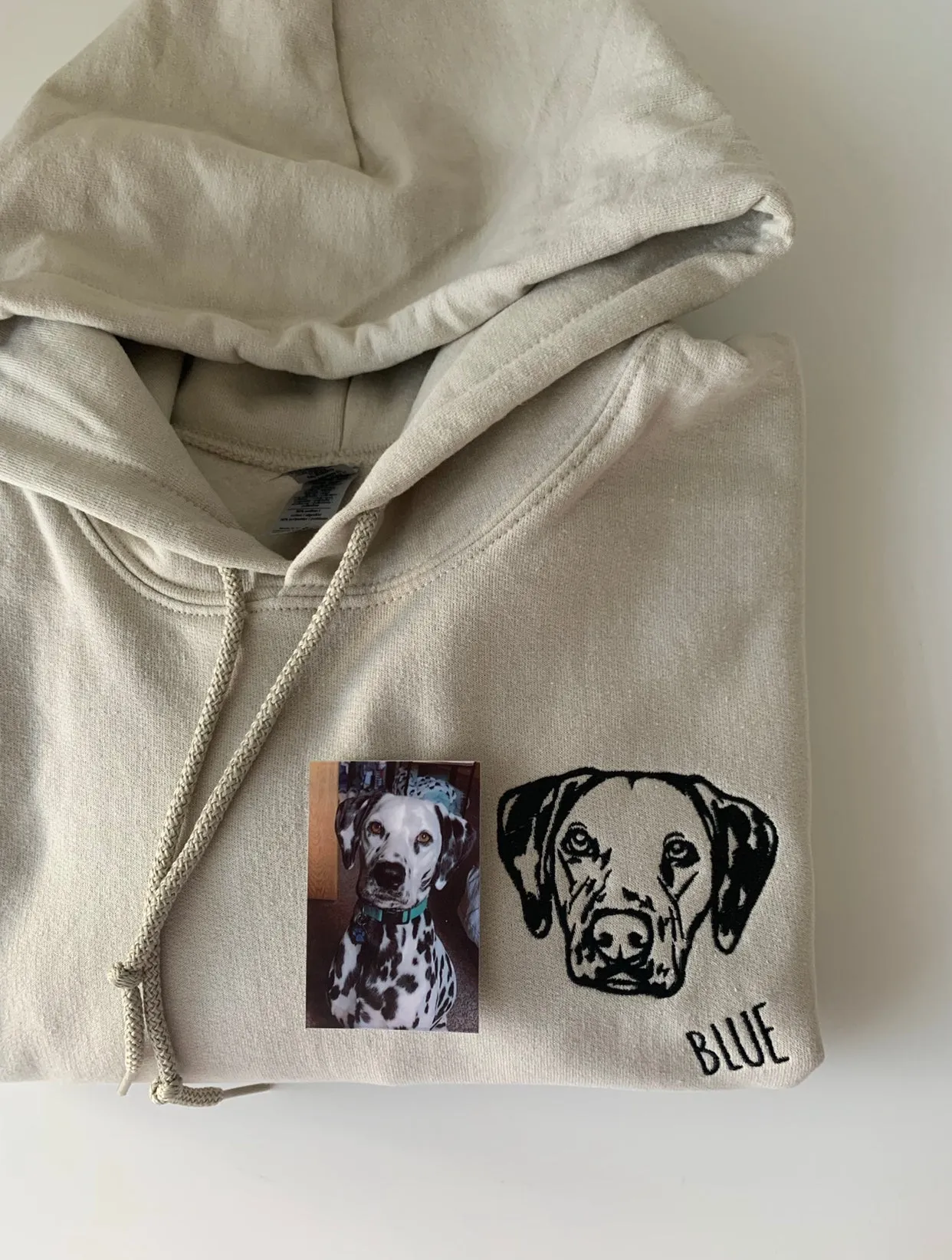 Custom Pet Portrait Hoodie