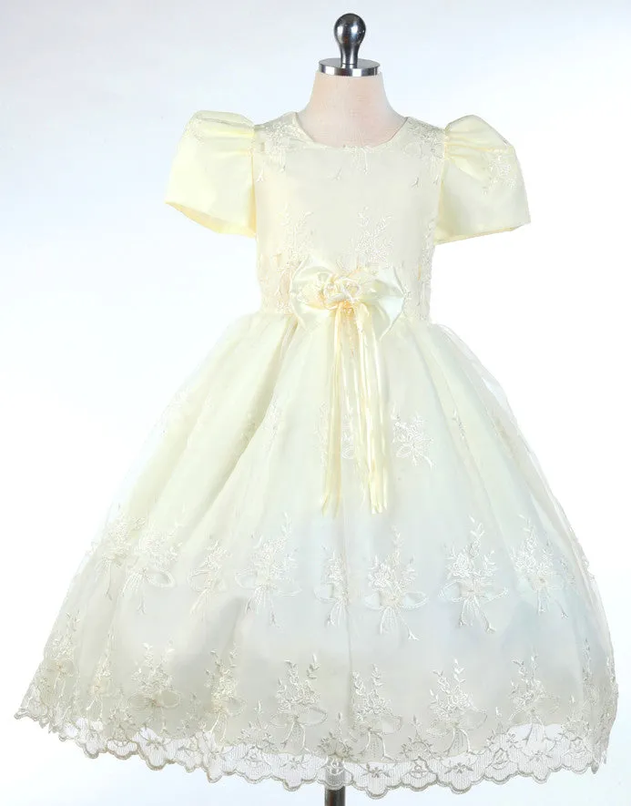 Ivory Embroidered Organza Dress D 257