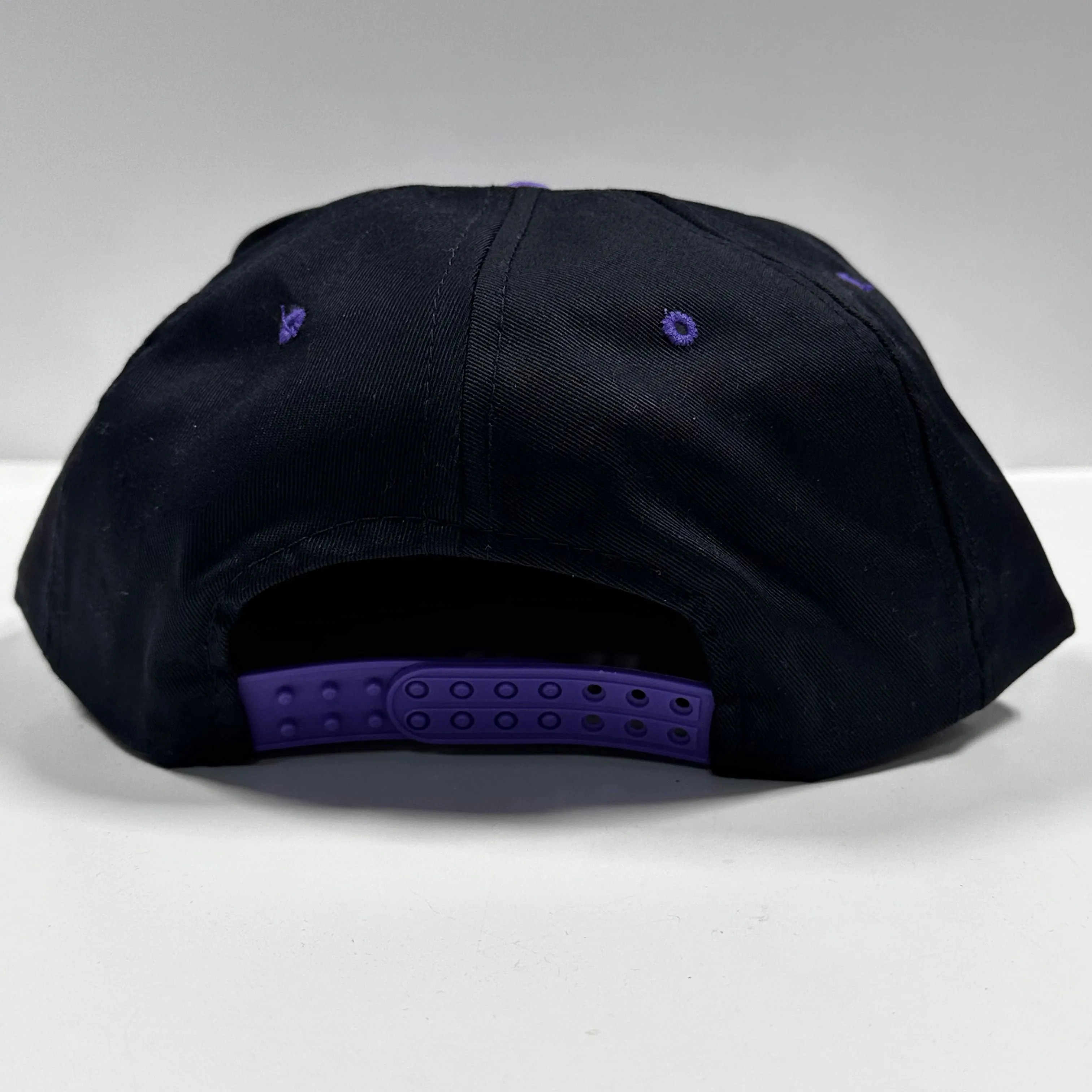 SEND ME FEET PICS Custom Embroidred on a purple rope SnapBack hat cap
